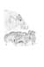 caro_Page_08