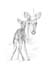 caro_Page_10
