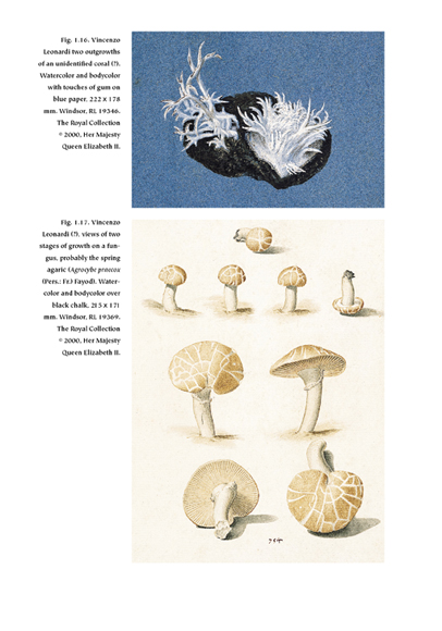freedberg_Page_8
