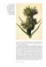 freedberg_Page_7