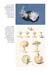 freedberg_Page_8