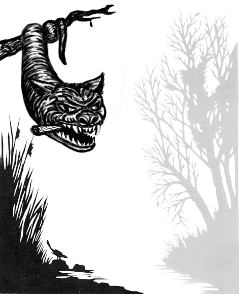 43